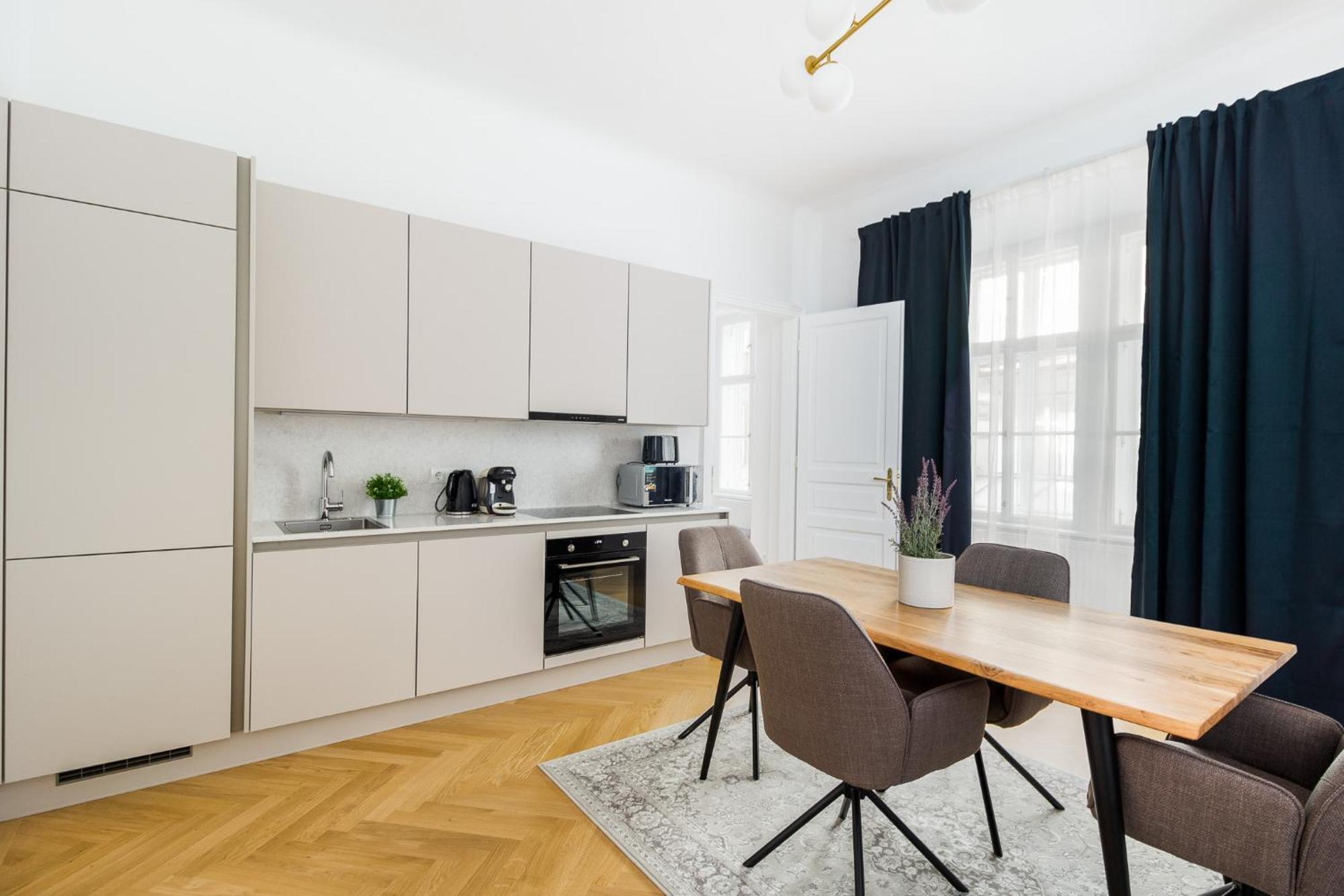 Apartment Ballgasse Luxury 维也纳 外观 照片